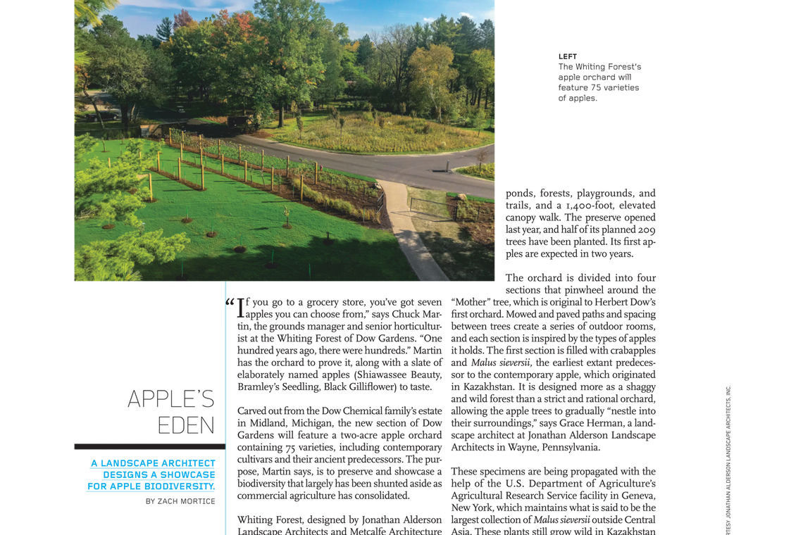 Metcalfe Architecture & Design Blog Apple's Eden